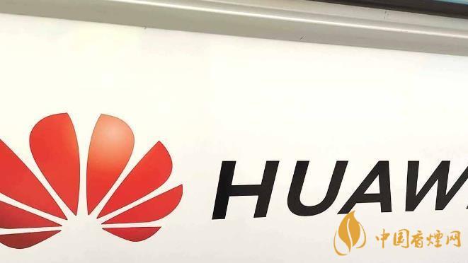 華為手機(jī)開(kāi)發(fā)者模式有什么用？-怎么打開(kāi)？