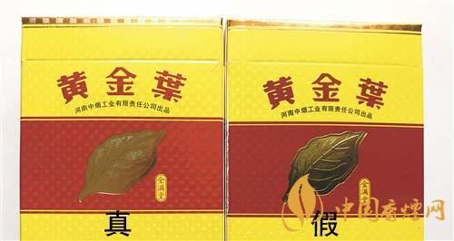 如何辨別黃金葉金滿堂真假？2020黃金葉真假辨別詳情對比