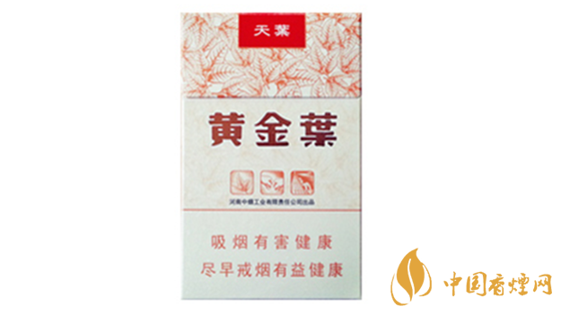 黃金葉天葉真假怎樣區(qū)分？黃金葉天葉真假識別