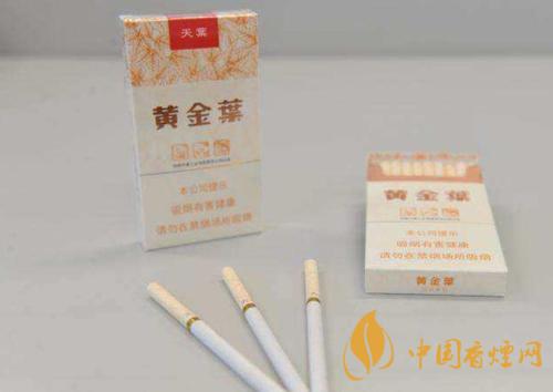 黃金葉天葉多少錢(qián)一包 黃金葉天葉口感怎么樣
