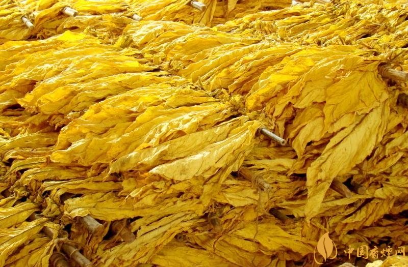 有機(jī)煙葉是什么，有機(jī)煙葉和普通煙葉的區(qū)別