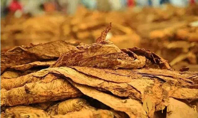 津巴布韋煙葉為什么好，黃金煙葉成為國(guó)寶