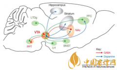 煙癮是什么 煙癮犯了怎么辦！