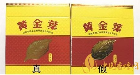 黃金葉金滿堂香煙真假辨別圖鑒 一看便知真假！